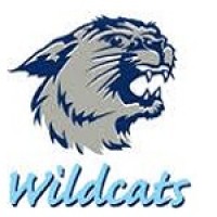 Wildcats2.gif